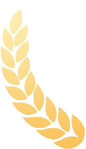 32591ffa6a0e2e282bca862cc2cd8d45be88c2c7