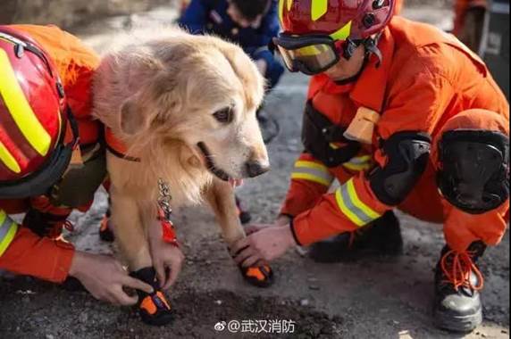 微信图片_20200823100255