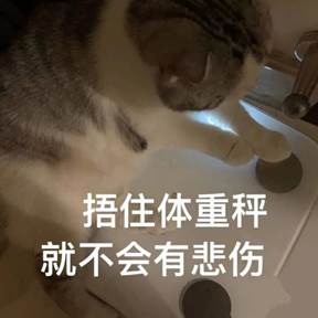 说明: IMG_258