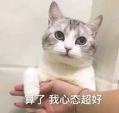 https://mmbiz.qpic.cn/mmbiz_jpg/1icut7bMF6sqROiblhSYvc3scIqyJlTzcFZrTLlJu5KccbrAiblxTMVVOrRFe40a653M2HYclZHyqicGSqbanEckMQ/640?wx_fmt=jpeg
