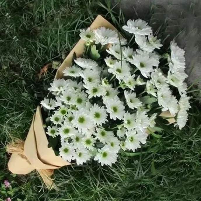 https://mmbiz.qpic.cn/mmbiz_jpg/1icut7bMF6soIdCNphNrdOZ5Uom4t5s1UwiciakPC0dqYbVN8LCicogevv43IkjWSYUSV6KqBBuh87dPLtYDiaunTfQ/640?wx_fmt=jpeg