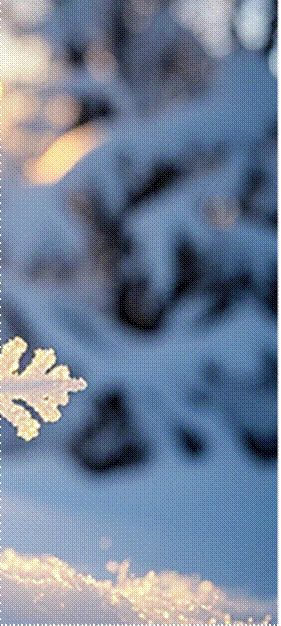 f2544dc26ebdae18712d0a637b66e83702f05efb