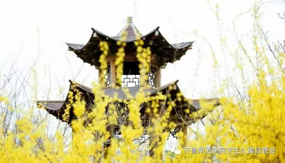标题: mmexport1497013549615.jpg