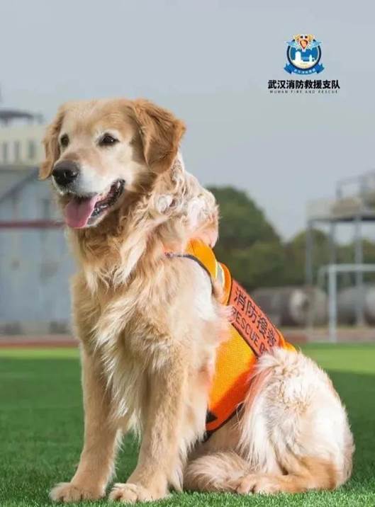 微信图片_20200823100213