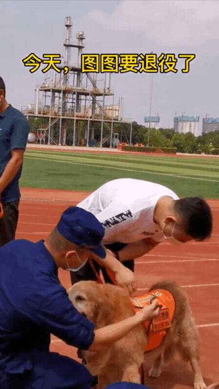 微信图片_20200823100332