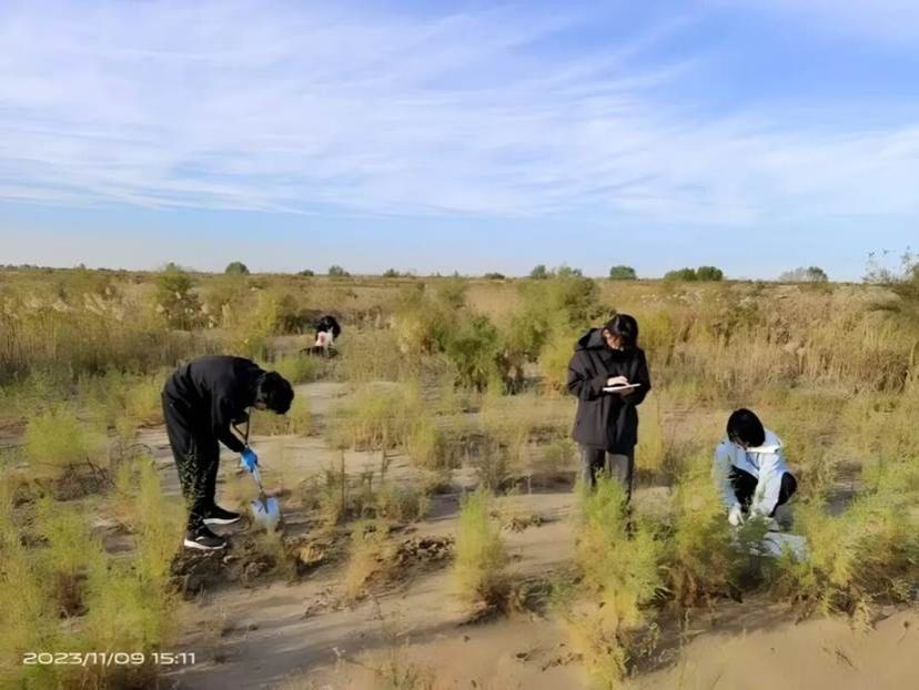 3da77b61318c1e38678cb8013fd2907a246ee36a