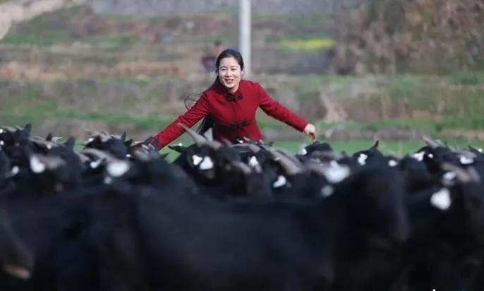 微信图片_20200823194012