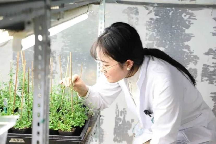 060db25086dd8d63eb660bc7b7aec9e858e67132