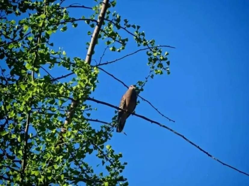 2056e2b4d9db2a1c0e9b36dd3cda8f0e76da5b24