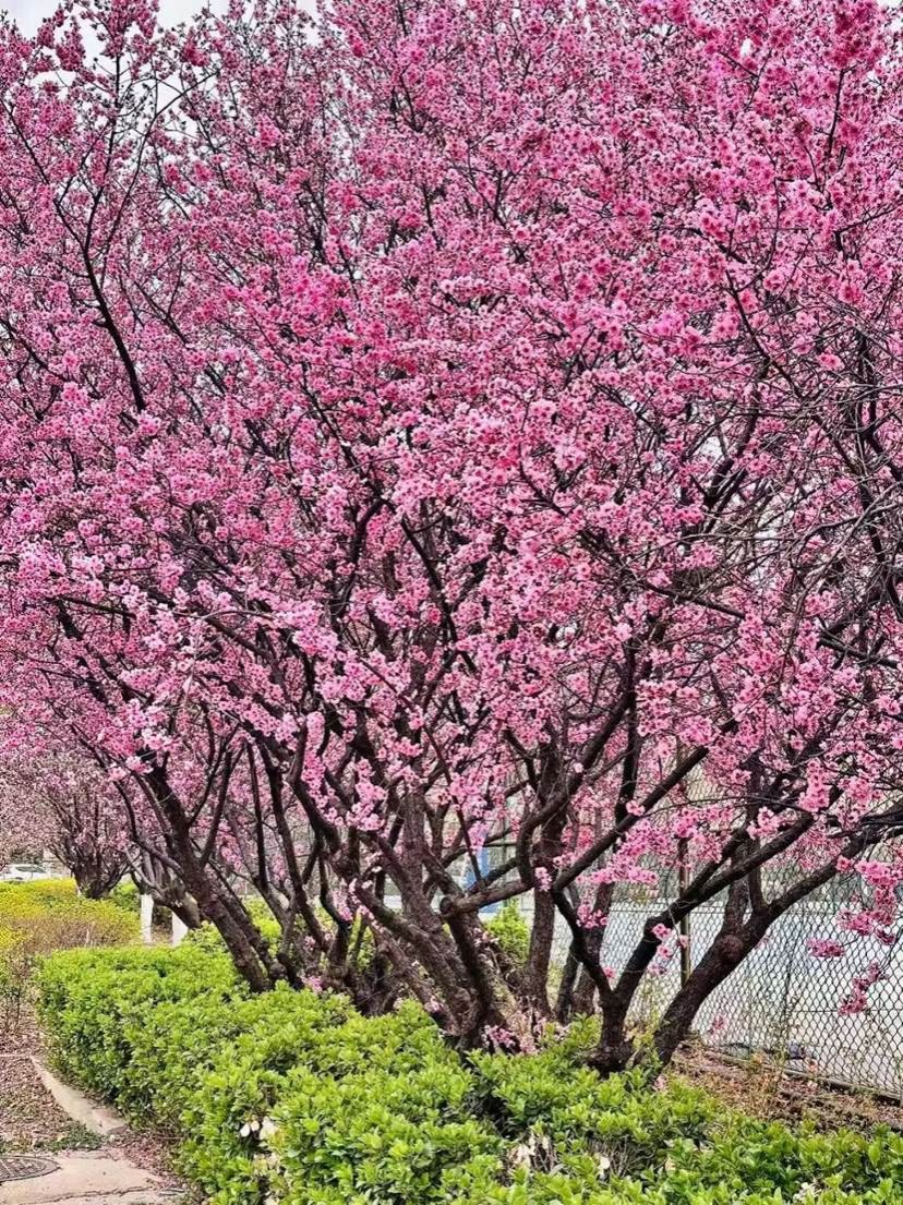 910ca69b8b1e29423f3b2cbecad2abd57a945bde