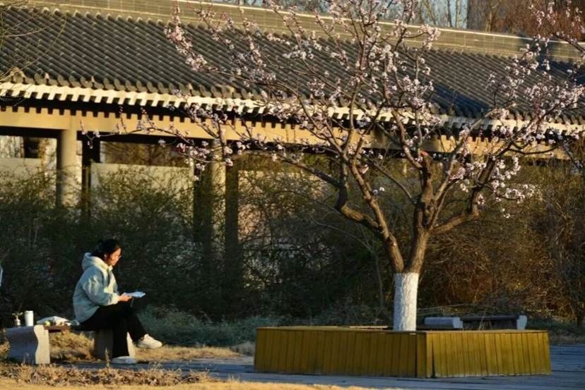 a8804db692c24ec805a0b476a4504c596f9c2874