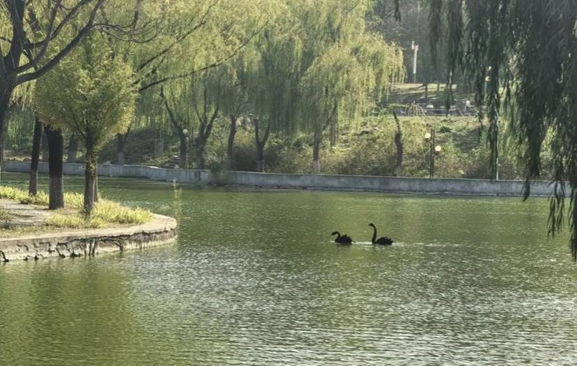 7af7d58238ff87780f3e9a52f5341e844a46a4f3