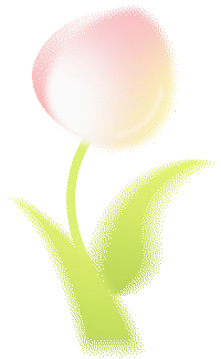 73df03442054f2b422e9ca941b4df13de8cd3d32