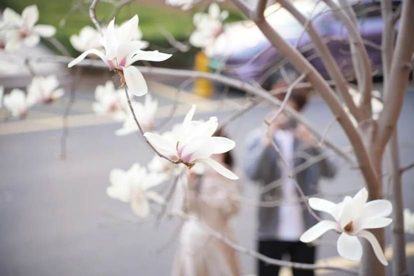 bb054d60342482ad919963de43774ddc09fa0732