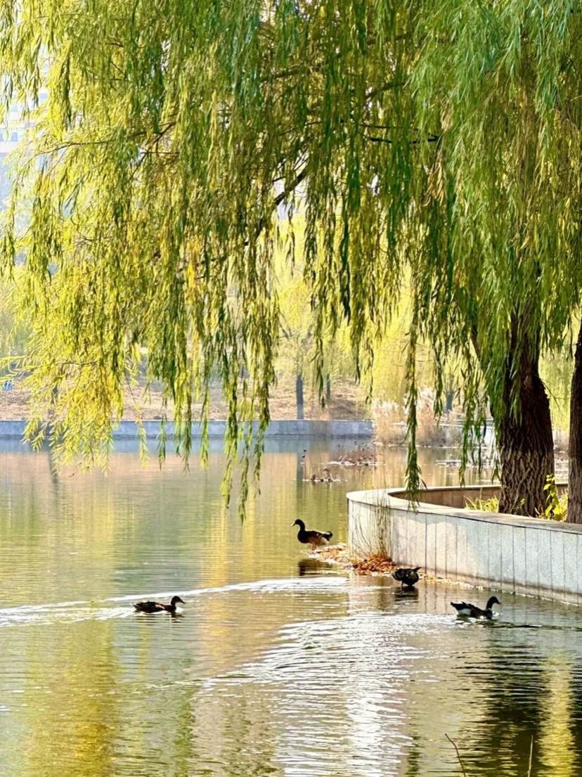 9539b26f76c2b10dfe081691e8208f2bfcd415c7