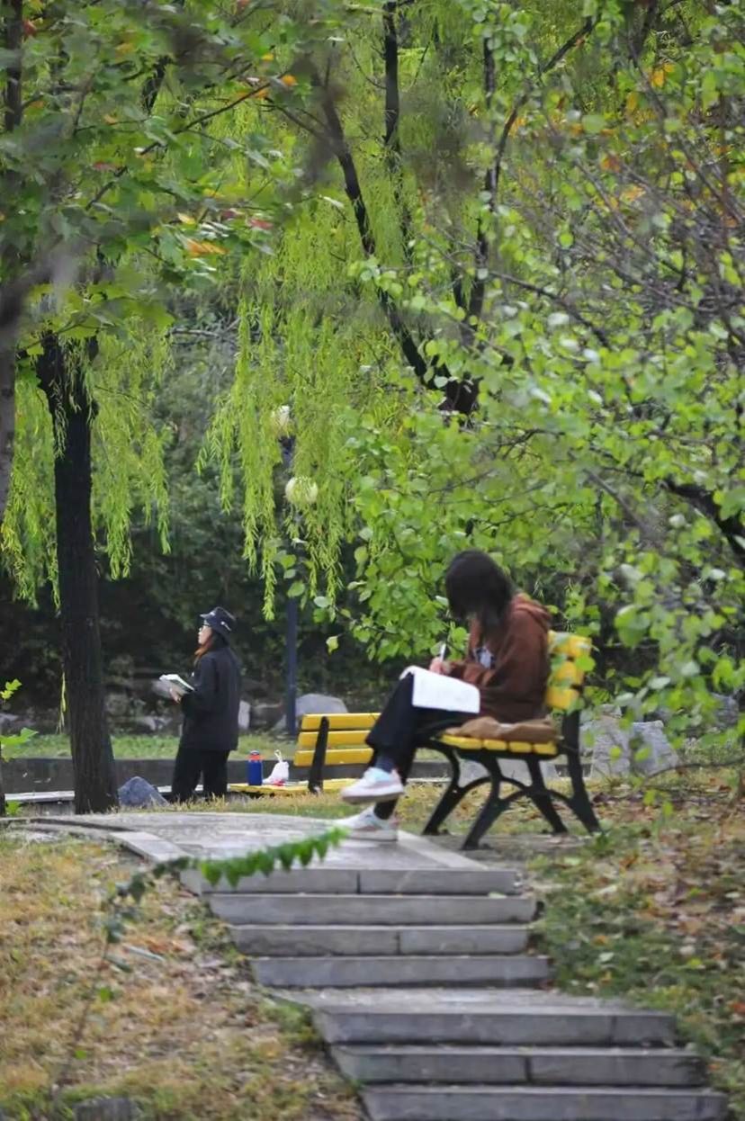 5fd0655e60f66a02eee46650ebf344c702d4479a