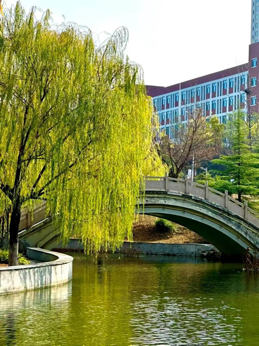 88a71d4851cee553dbe1ccad4e315b6fe2aa5f22