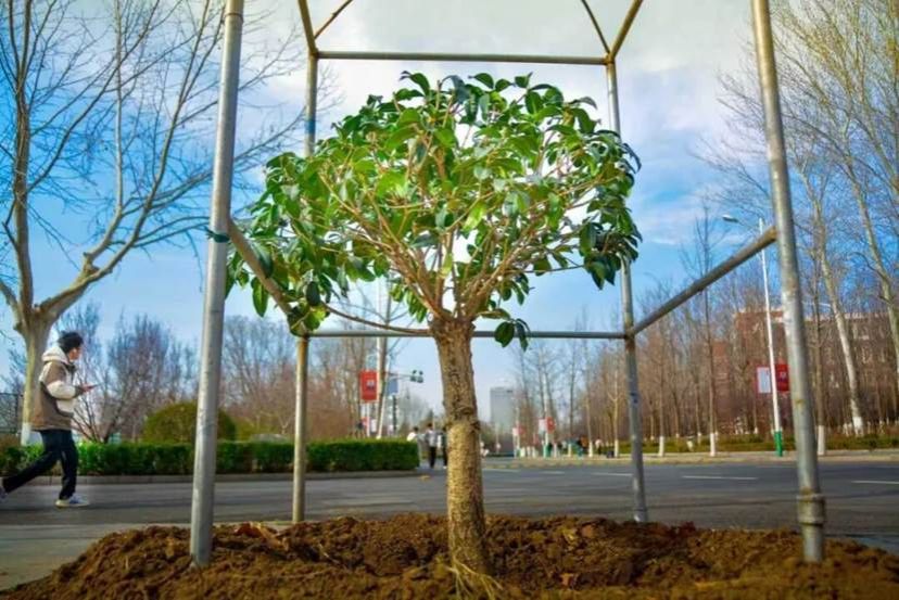 281b211d66d3c94dcb8bd2083f68bf22c3ed82bf