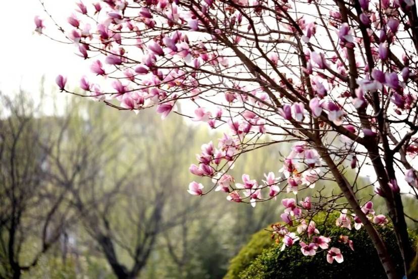 cfaa63db36145608f09b8c58e270b4116f1e1f2c