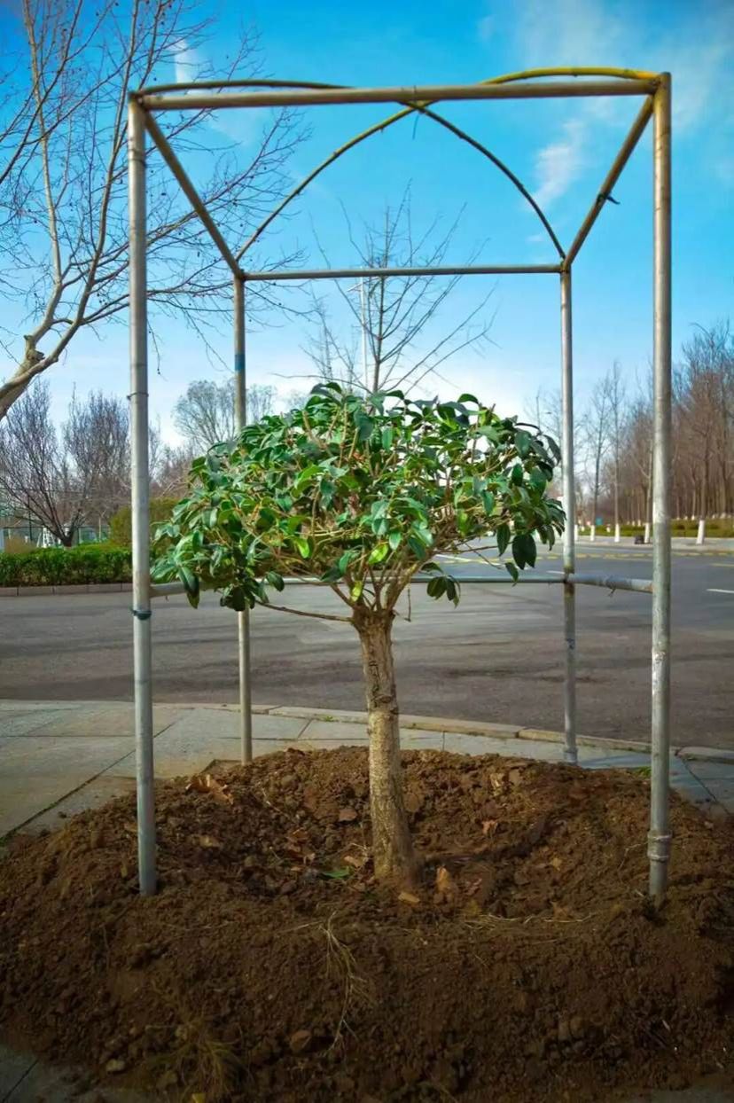 a8952722c0fa51c1c5e1f7969c2c15d6f2529586