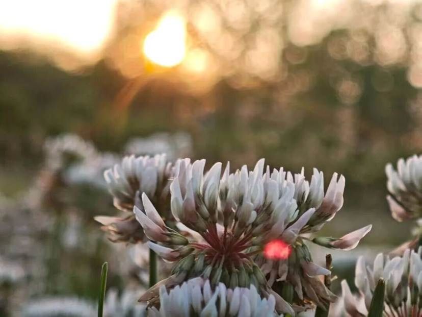 16ac7aaa85ac26b1628c6b8d1595f549a87d85f2