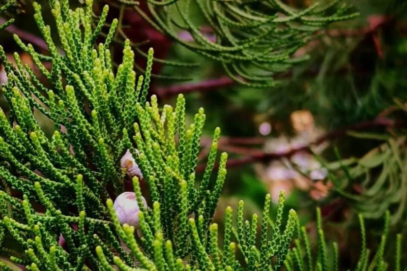 e684be0c59dd638d6d54586dcd5a55247ccb7f7c