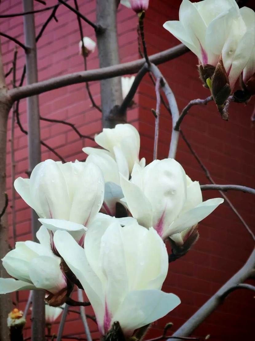 f816073983a417a8c2f54f3f5984ae79e5d55cdf