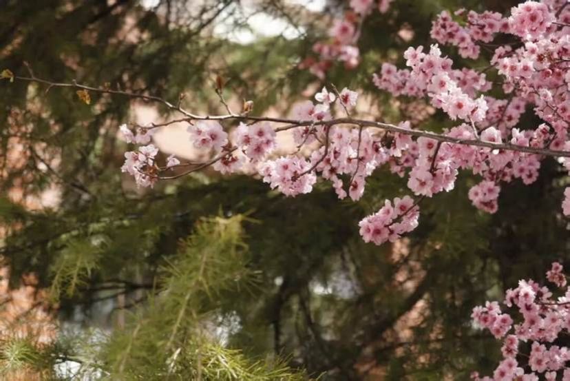 14ad73eb29ee7015beee1f8fb677955cda2852a6