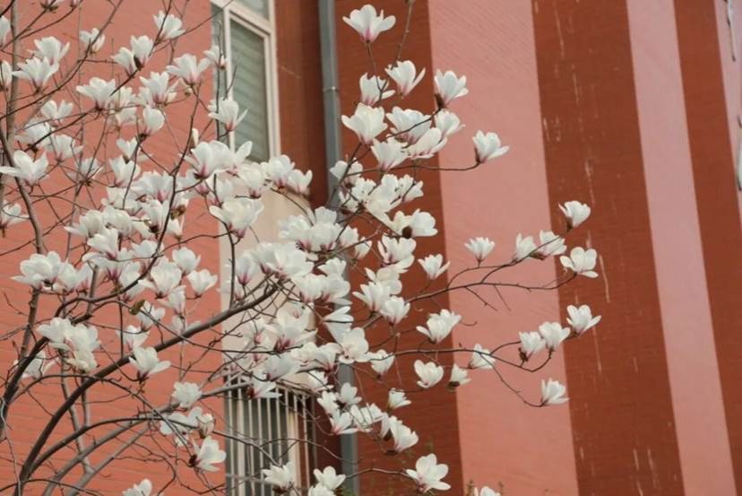 4d97509158a311b410b6d6e702118f0ecab2c7a4