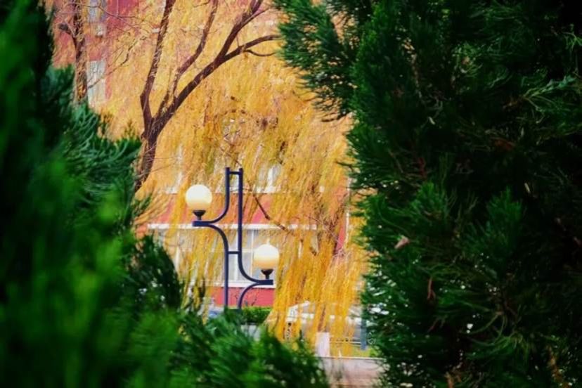 701f29796471316dbfa680c1d40a4aabab270047