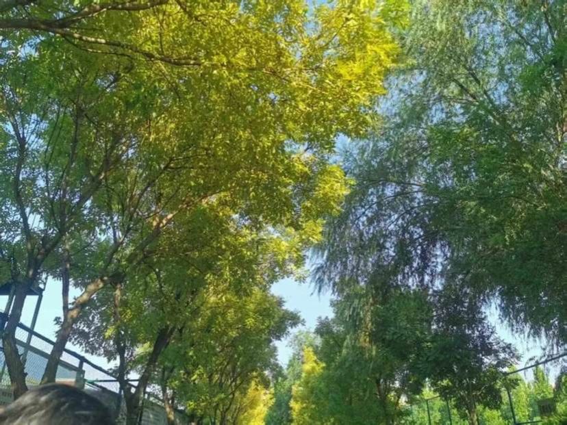 ef72b546e63f83a45a19e21dd3801b4a5dd4fd18