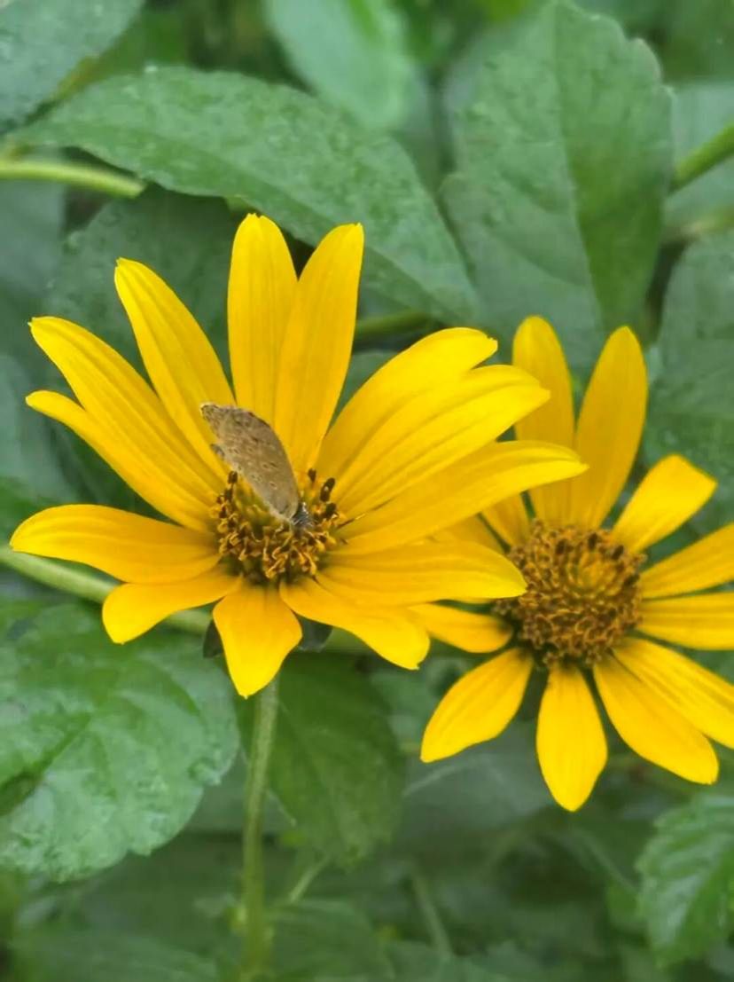 9b0f7ac224a7ceb7317b36e1194bcfc4af5ad9a3