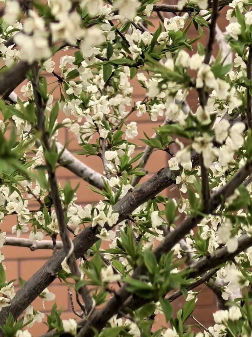 09c35e1d9f055afd00525f0f75f06d2e82cde49c