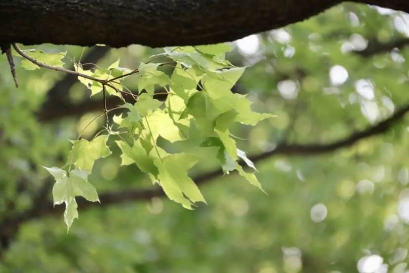 9ec3da6934bd997b78e20e2024a3ae3e9dbe575f